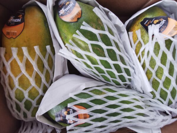 Papaya Formosa - immagine 2