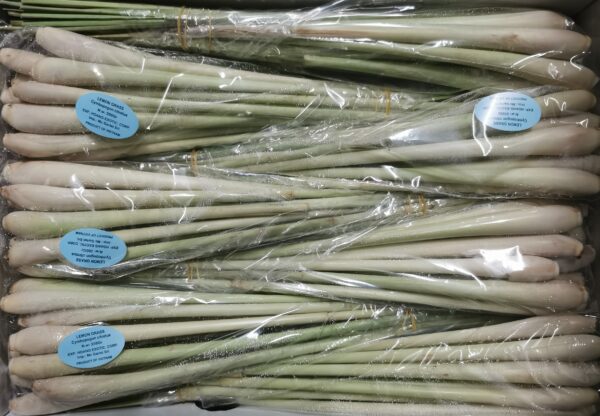 Lemongrass
