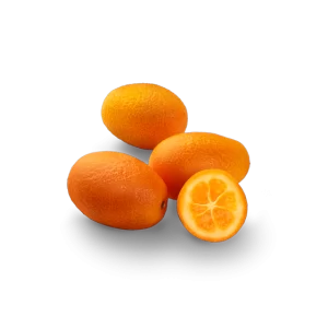 Kumquat