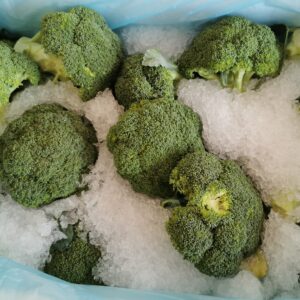Broccoli siciliani in ghiaccio