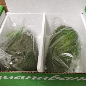 Guanabana