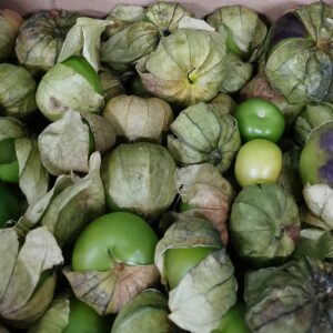 Tomatillo